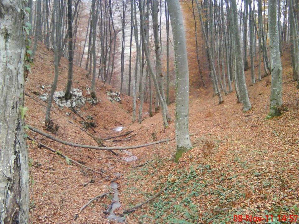 Etno Kuce Miljevic 호텔 Sipovo 외부 사진